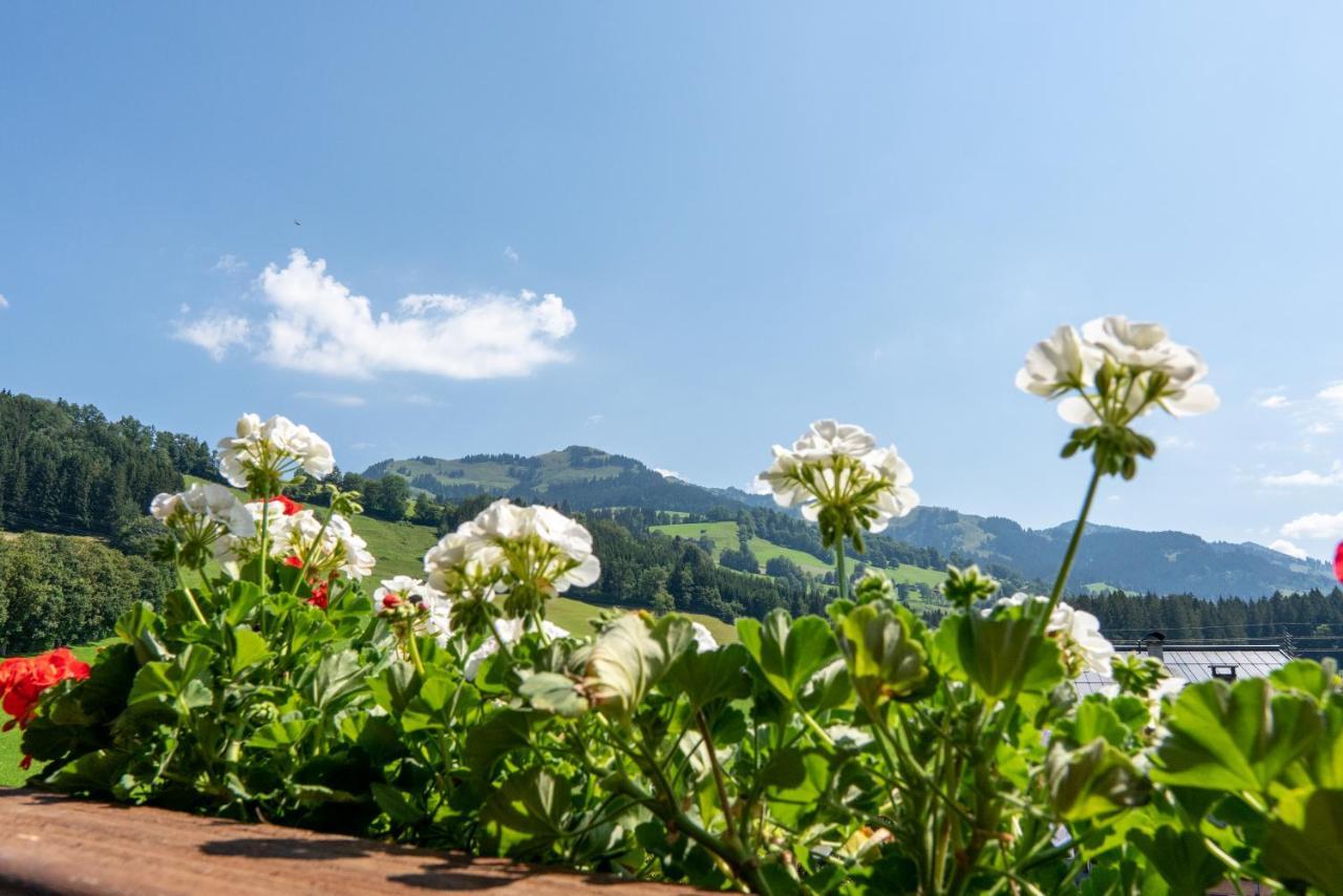 Hotel Kitz Garni Boutique